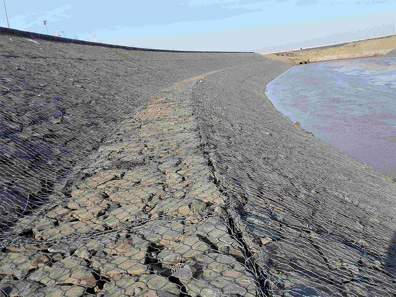 靖邊縣雷諾護墊