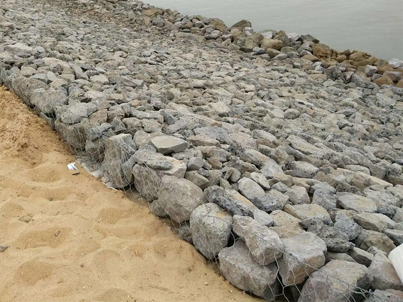 靖邊縣雷諾護墊