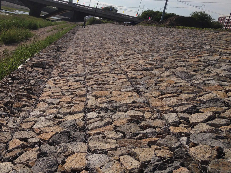 靖邊縣雷諾護墊