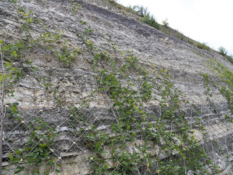 靖邊縣主動防護網