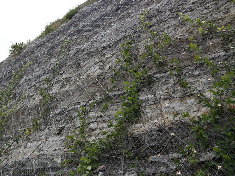 靖邊縣GPS1主動防護網