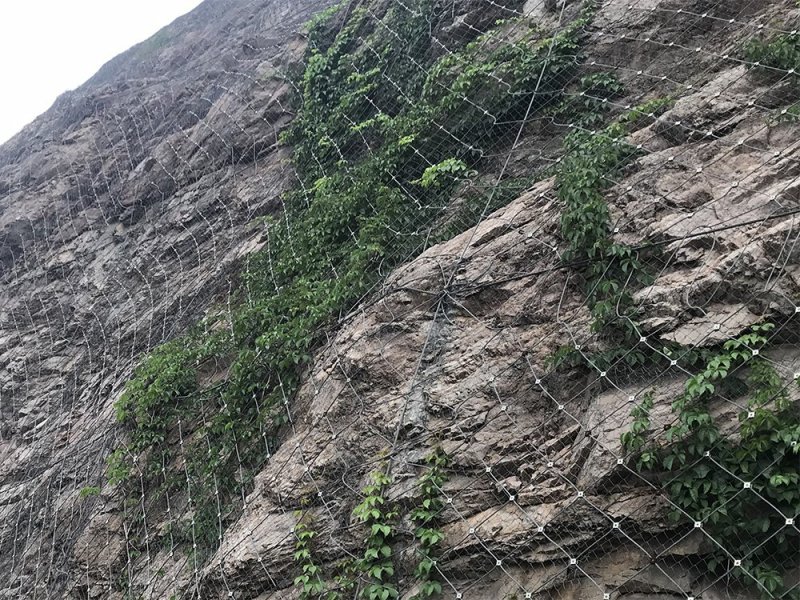 靖邊縣GPS1主動防護網