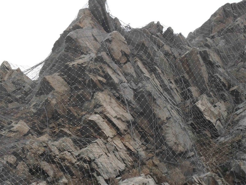 靖邊縣GAR2型主動防護網