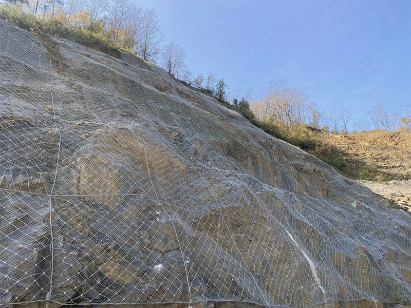 靖邊縣GER型主動防護網