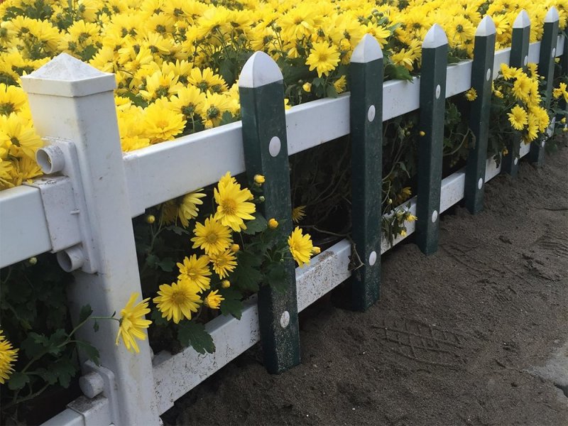 靖邊縣花園圍欄